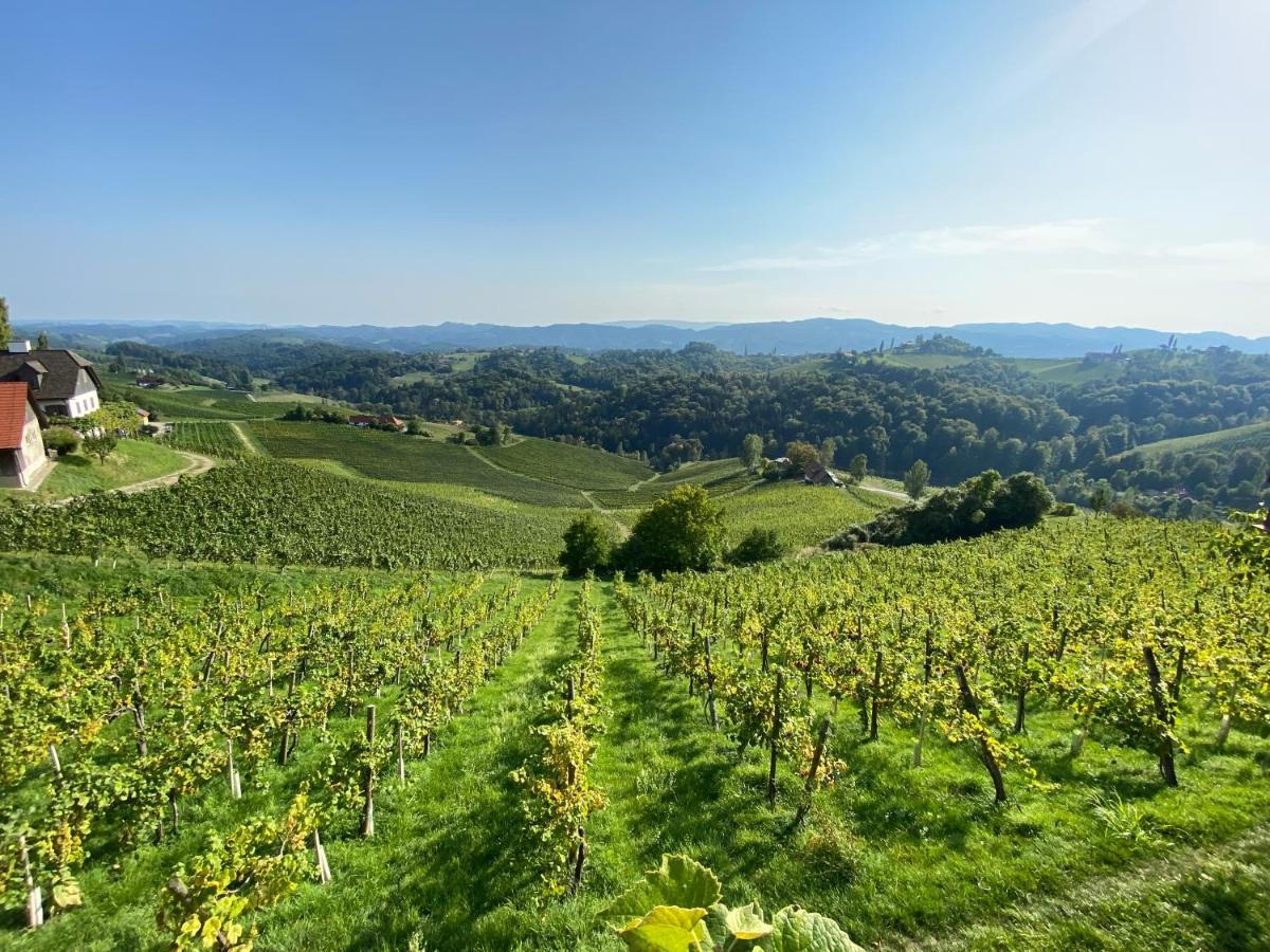 Wein Kultur Apartment Flavia Solva Wagna Exterior foto